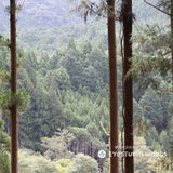 つくろう!うさぎのメモスタンド